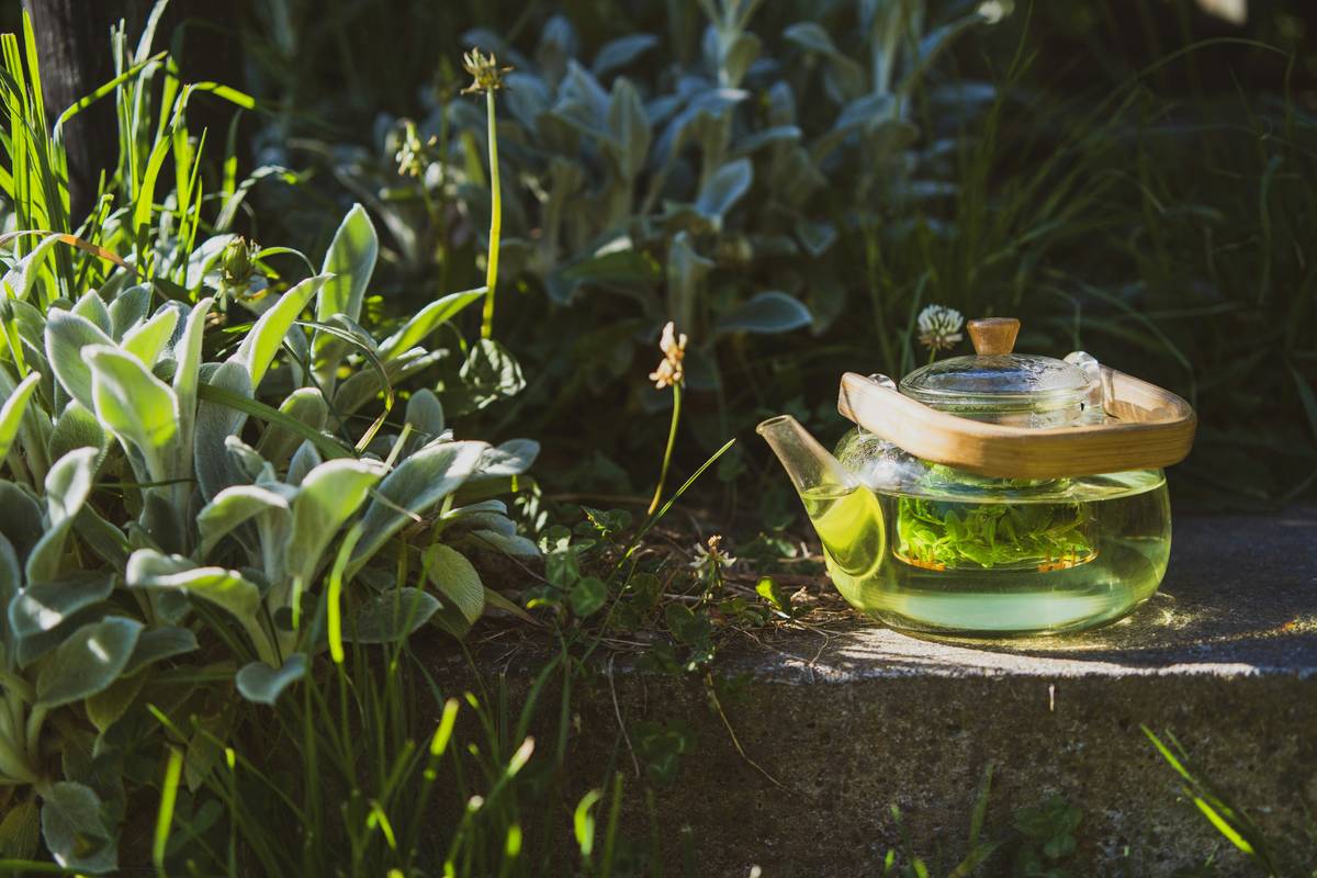 Fresh lemon balm leaves used in mood lemon balm remedy preparation